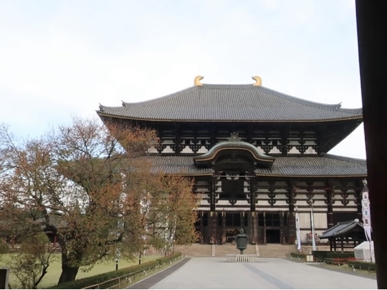 早朝の東大寺大仏殿。人がいない静寂な空間で、子どもと落ち着いて歴史を感じる貴重な瞬間。