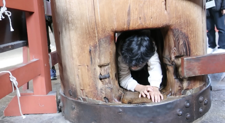東大寺大仏殿の柱くぐりに挑戦する6歳長男。体が小さいため難なくクリアし、満面の笑顔。