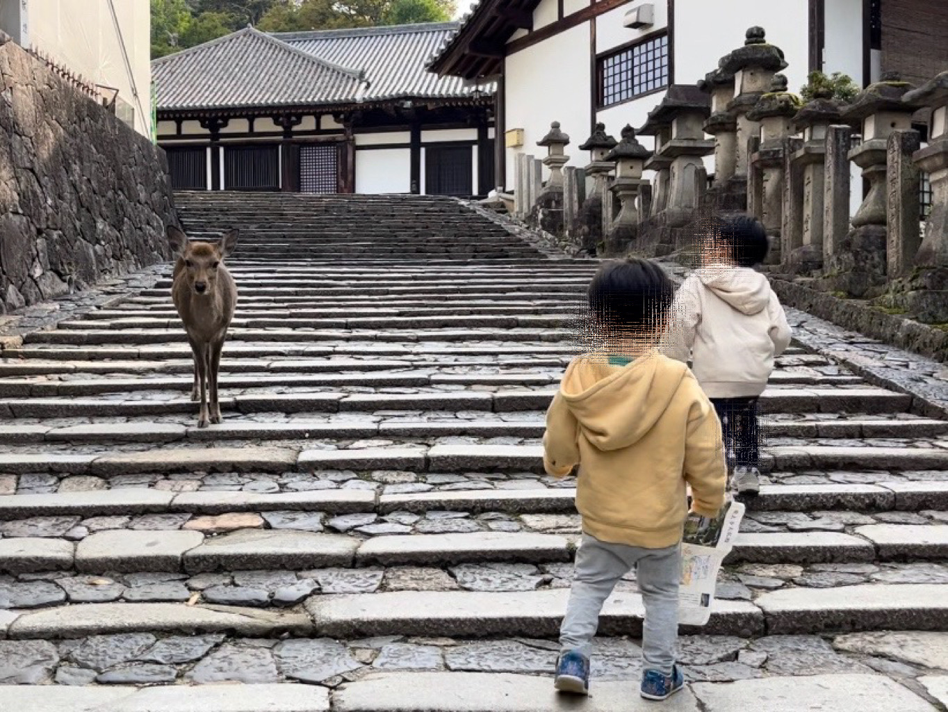 二月堂へ向かうショートカットコースの途中で、静かな鹿と触れ合う子どもたち。