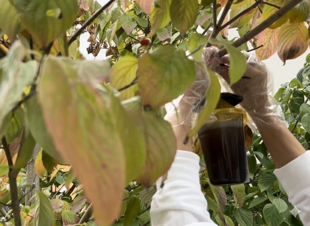 アース製薬のハチ捕獲器。木に取り付けるのも簡単です。