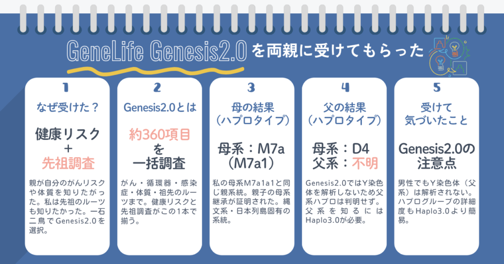 GeneLife Genesis2.0を両親に受けてもらった結果の要約図。動機・検査内容（約360項目）・母の母系ハプロM7a・父の母系D4と父系不明・注意点の5項目をカード形式で整理
