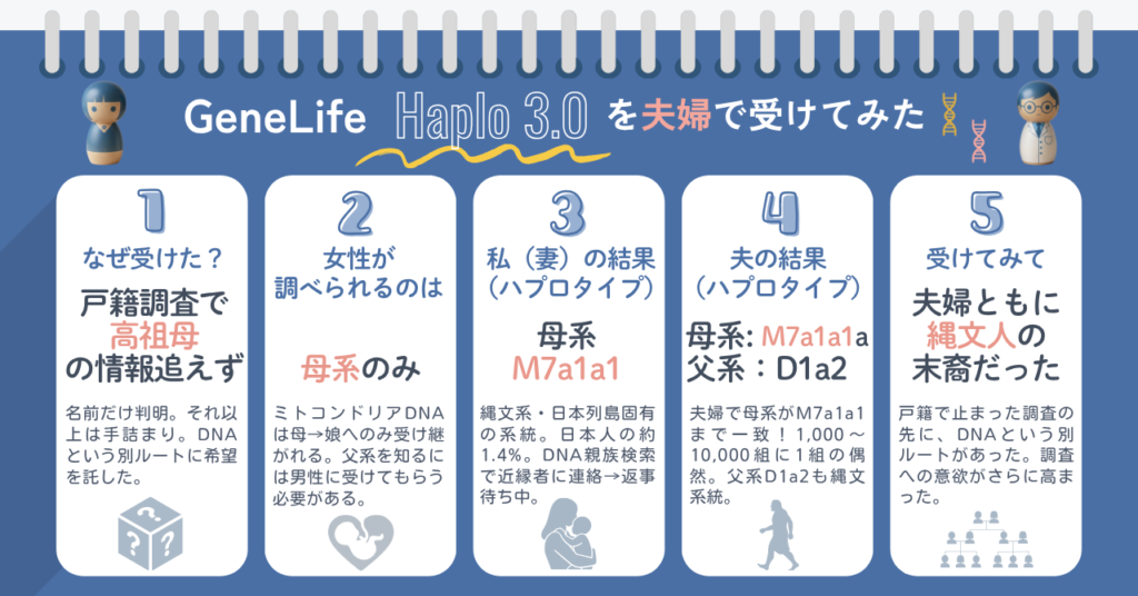 GeneLife Haplo3.0を夫婦で受けた結果の要約図。動機（戸籍調査の限界）・女性は母系のみ判明・妻の母系M7a1a1・夫の母系M7a1a1a＋父系D1a2・夫婦とも縄文系だった感想の5項目をカード形式で整理