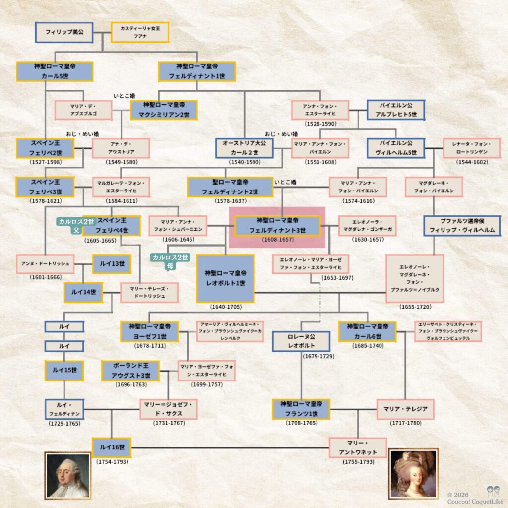 フィリップ美公とカスティーリャ女王フアナまでさかのぼるルイ16世とマリー・アントワネットの家系図。スペイン王家の近親婚の象徴カルロス2世との分岐はかなり近いことが分かる。また、神聖ローマ皇帝フェルディナント3世は、ルイ16世側の祖先であり、マリー・アントワネットに至っては父方と母方両方の祖先でもある。