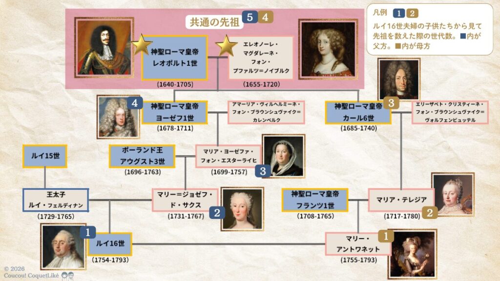 マリー・アントワネットとルイ16世の共通の先祖をたどる家系図。二人の子供たちの4もしくは5世代前の神聖ローマ皇帝レオポルト1世夫婦が共通の祖先であり、比較的近い血縁関係があったことが分かる。