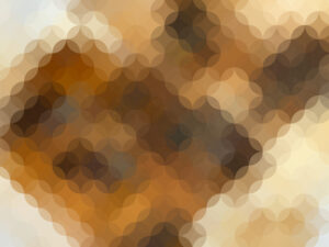 蜂捕獲器の捕獲結果（閲覧注意のためモザイクあり）