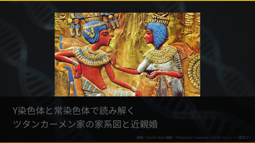 Y染色体と常染色体で読み解くツタンカーメン家の家系図と近親婚を表すアイキャッチ画像。古代エジプトの王座に刻まれたツタンカーメンと妻アンケセナーメンを中心に、背景にDNAの二重らせんがうっすらと見える。