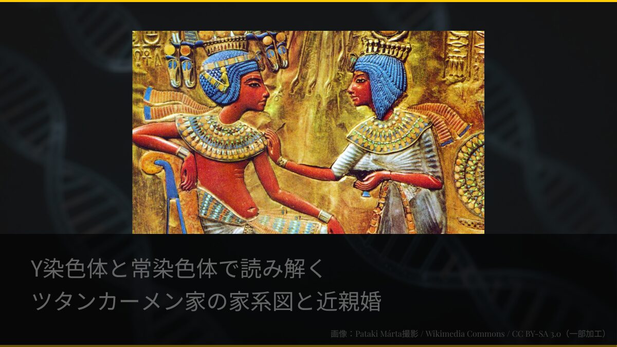 Y染色体と常染色体で読み解くツタンカーメン家の家系図と近親婚を表すアイキャッチ画像。古代エジプトの王座に刻まれたツタンカーメンと妻アンケセナーメンを中心に、背景にDNAの二重らせんがうっすらと見える。